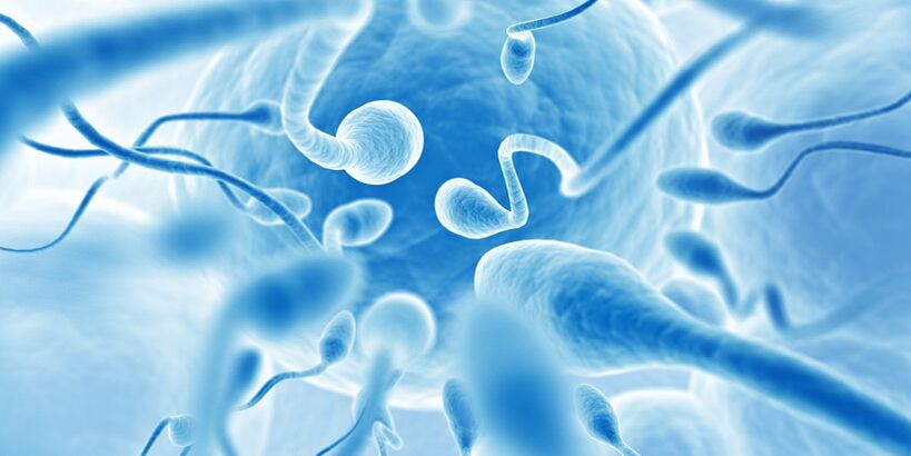 Premature ejaculation in men with chronic prostatitis